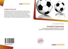 Copertina di Cesidio Colasante