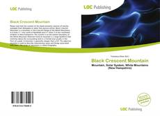 Capa do livro de Black Crescent Mountain 