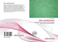 Couverture de Blue Job Mountain