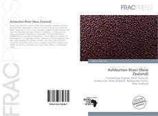 Bookcover of Ashburton River (New Zealand)