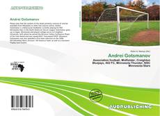 Buchcover von Andrei Gotsmanov