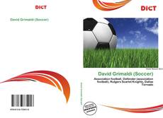 David Grimaldi (Soccer)的封面