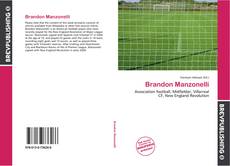 Brandon Manzonelli的封面