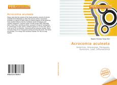 Acrocomia aculeata的封面