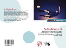 Portada del libro de Andrija Kaluđerović