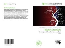 Bookcover of Bauhinia forficata