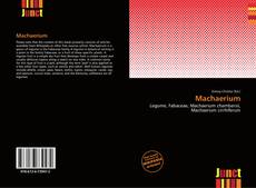 Buchcover von Machaerium