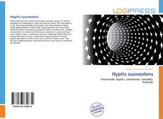 Copertina di Hyptis suaveolens