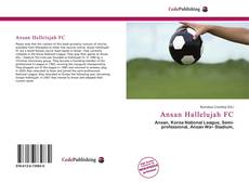 Ansan Hallelujah FC kitap kapağı