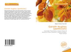 Bookcover of Gareth Hughes (politician)