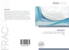 Portada del libro de Kebapche