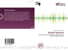 Attalea Speciosa kitap kapağı