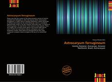 Buchcover von Astrocaryum ferrugineum