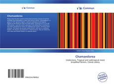 Capa do livro de Chamaedorea 