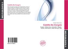 Couverture de Caldillo De Congrio