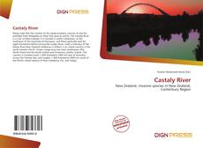Copertina di Castaly River