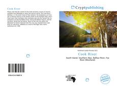 Bookcover of Cook River