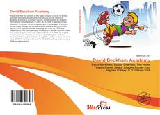 Bookcover of David Beckham Academy