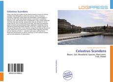 Bookcover of Celastrus Scandens