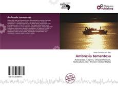 Borítókép a  Ambrosia tomentosa - hoz