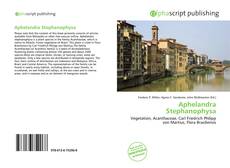 Aphelandra Stephanophysa kitap kapağı