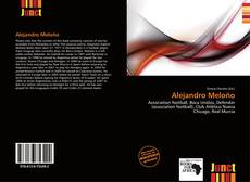 Bookcover of Alejandro Meloño