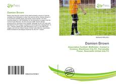 Copertina di Damien Brown