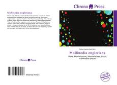 Bookcover of Mollinedia engleriana