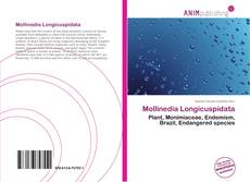 Capa do livro de Mollinedia Longicuspidata 