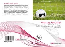 Bookcover of Giuseppe Vela Junior