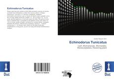 Bookcover of Echinodorus Tunicatus
