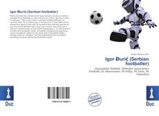 Bookcover of Igor Đurić (Serbian footballer)