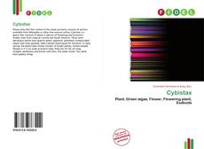 Portada del libro de Cybistax