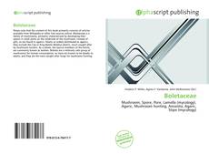 Boletaceae kitap kapağı