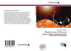 Bookcover of Machaerium Villosum