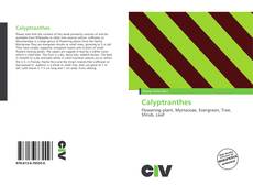 Portada del libro de Calyptranthes