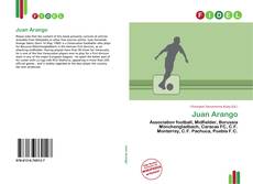 Bookcover of Juan Arango