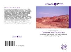 Capa do livro de Doushantuo Formation 