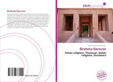 Bookcover of Brahma Sarovar