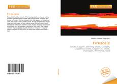 Bookcover of Firescale