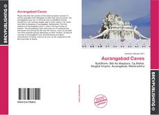 Aurangabad Caves kitap kapağı