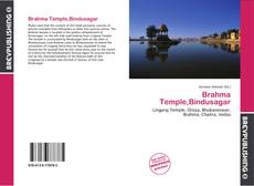 Bookcover of Brahma Temple,Bindusagar