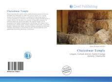 Chateshwar Temple kitap kapağı