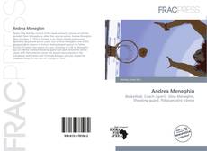Andrea Meneghin的封面