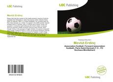 Bookcover of Mevlüt Erdinç