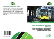 Hornsea Bridge Railway Station的封面