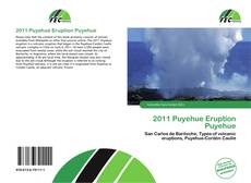 Buchcover von 2011 Puyehue Eruption Puyehue