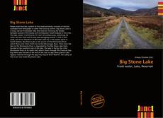 Buchcover von Big Stone Lake