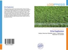 Capa do livro de Erie Explosion 