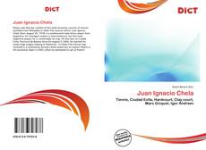 Bookcover of Juan Ignacio Chela